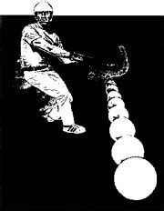 tigers jai alai heaven|Music Discussion Forum.